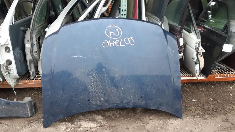 2004 FORD FORD F150 PICKUP  99-03 Hood
