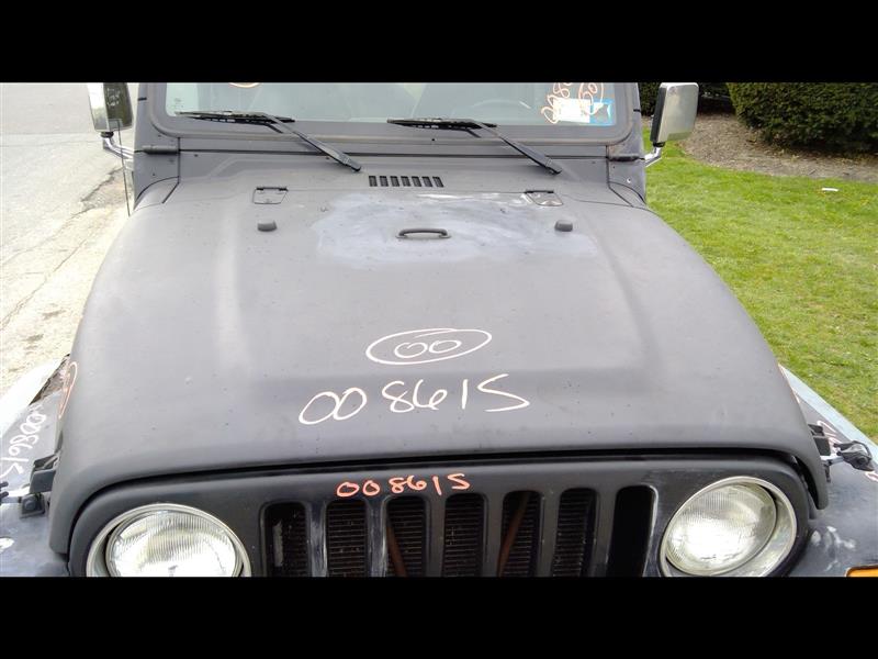 2000 JEEP WRANGLER  98-06 Hood