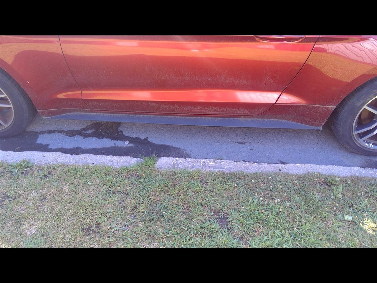 2017 FORD MUSTANG Rocker Panel Moulding