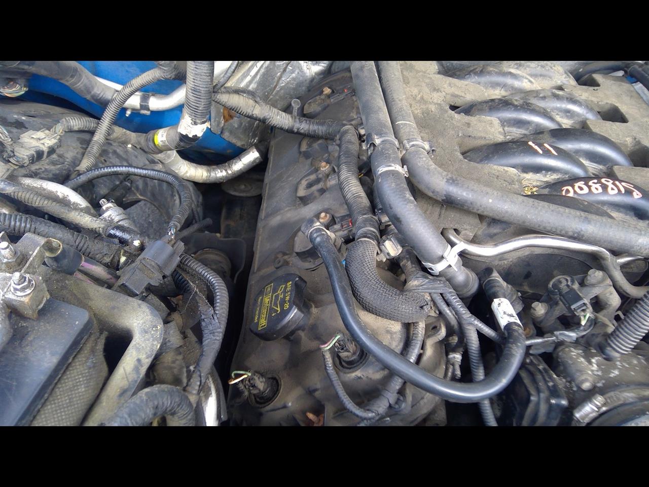 2011 FORD FORD F150 PICKUP  11-14 5.0L R. Cylinder Head