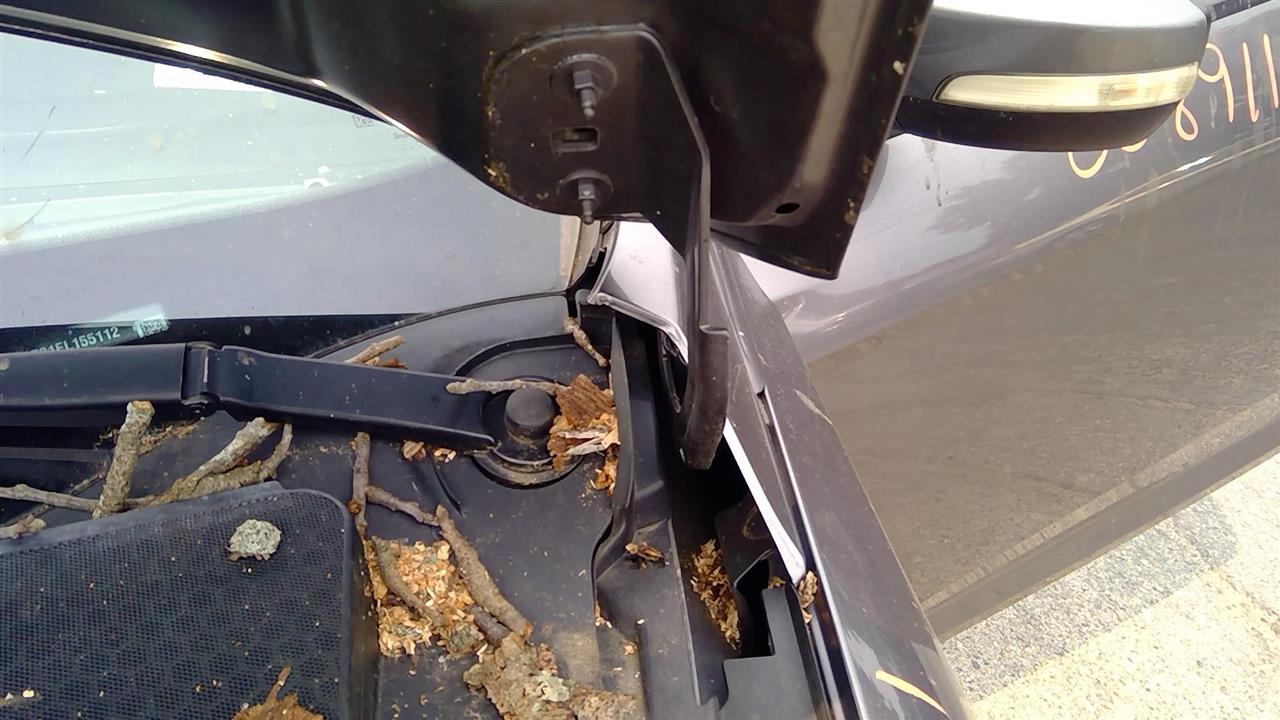 2014 FORD FOCUS Hood Hinge