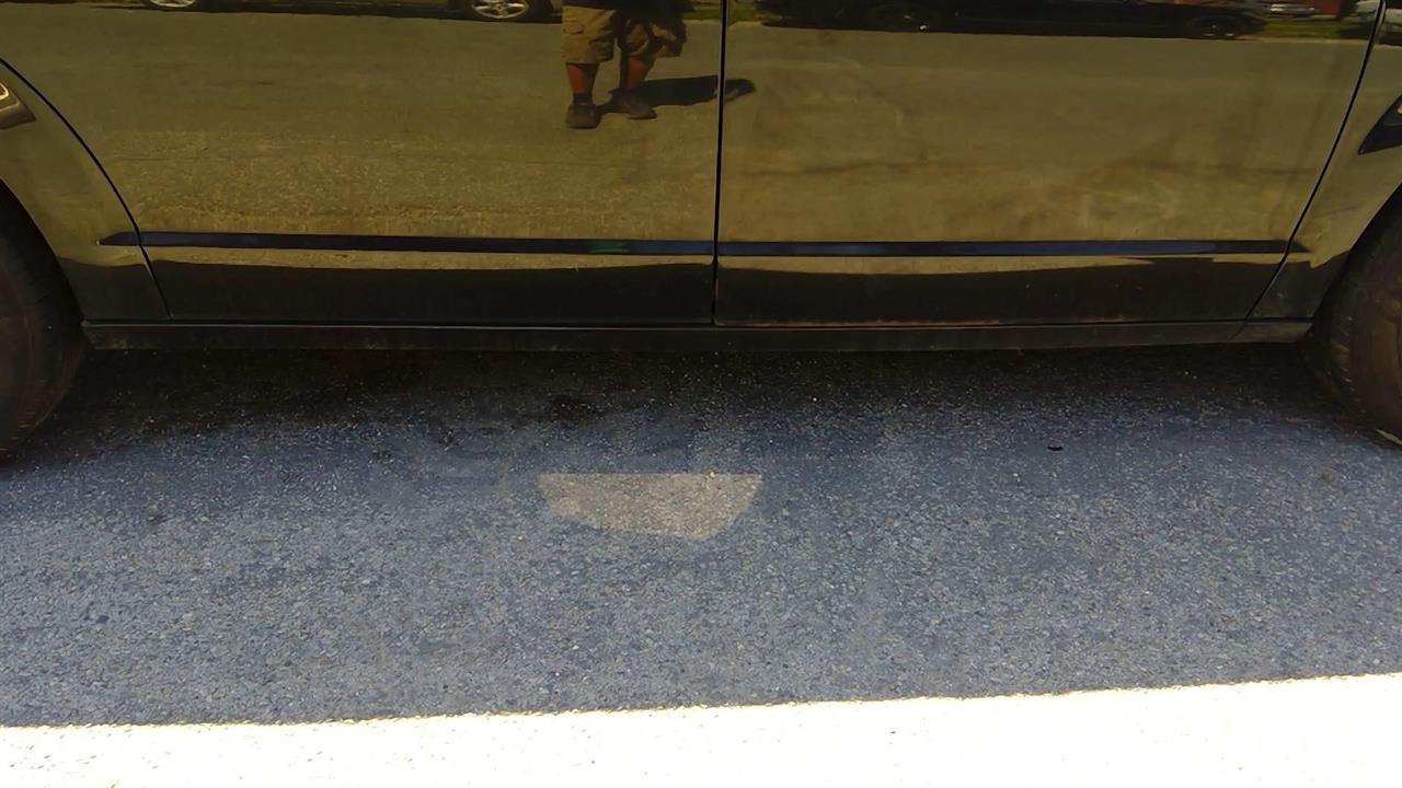 2018 DODGE CARAVAN Rocker Panel Moulding